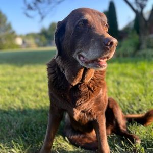 LIVE SHOW LIVE SHOW LIVE SHOW LIVE SHOW